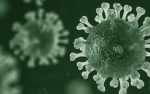 Versoepeling maatregelen Coronavirus per 29 april 2020